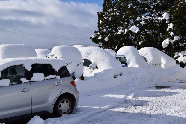 雪国・長岡でのお部屋探しはフェニックス不動産にお任せください！！