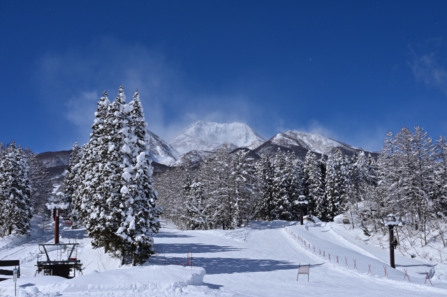 フェニックス不動産では、相続手続き中に見つかる相続人の方でも 「どこにあるのかよくわからない農地や山林」、そうした不動産を見つけた場合、なるべく手続きを進めるようお勧めしています。