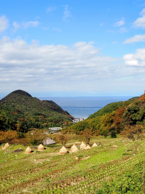 フェニックス不動産・行政書士結城事務所では相続手続き中に登記簿を確認して初めて存在を知るような土地をお調べし、亡くなった方のお父さんやお爺さんの名義であれば、なるべく手続きを進めるようお勧めしています。
これは次の代に相続問題を残さないためです。