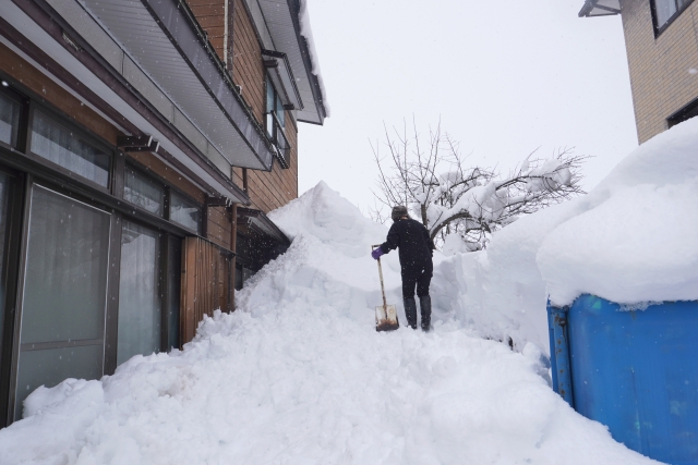 冬が過ぎ春になり、フェニックス不動産・行政書士結城事務所のある長岡市内のあちこちで雪害の傷跡が見受けられました。