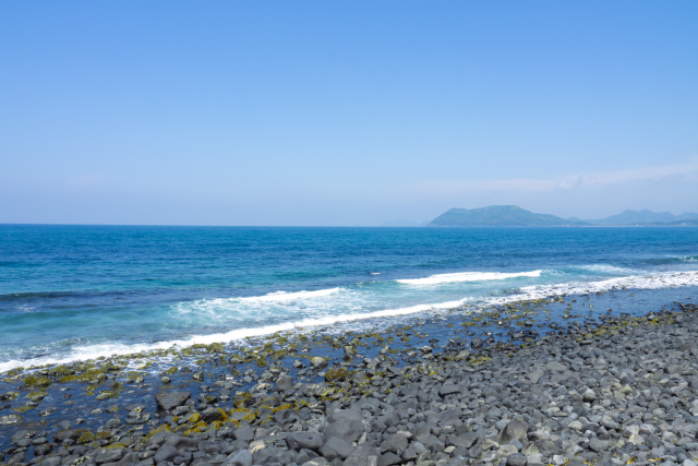 暑中お見舞い申し上げます。長岡の梅雨明けは目前。さて、事務の村田は写真の苗場山にフェスイベントに行ってきます。夏はスポーツ音楽に長岡花火と大忙しですが業務もキチンと進めて参ります。